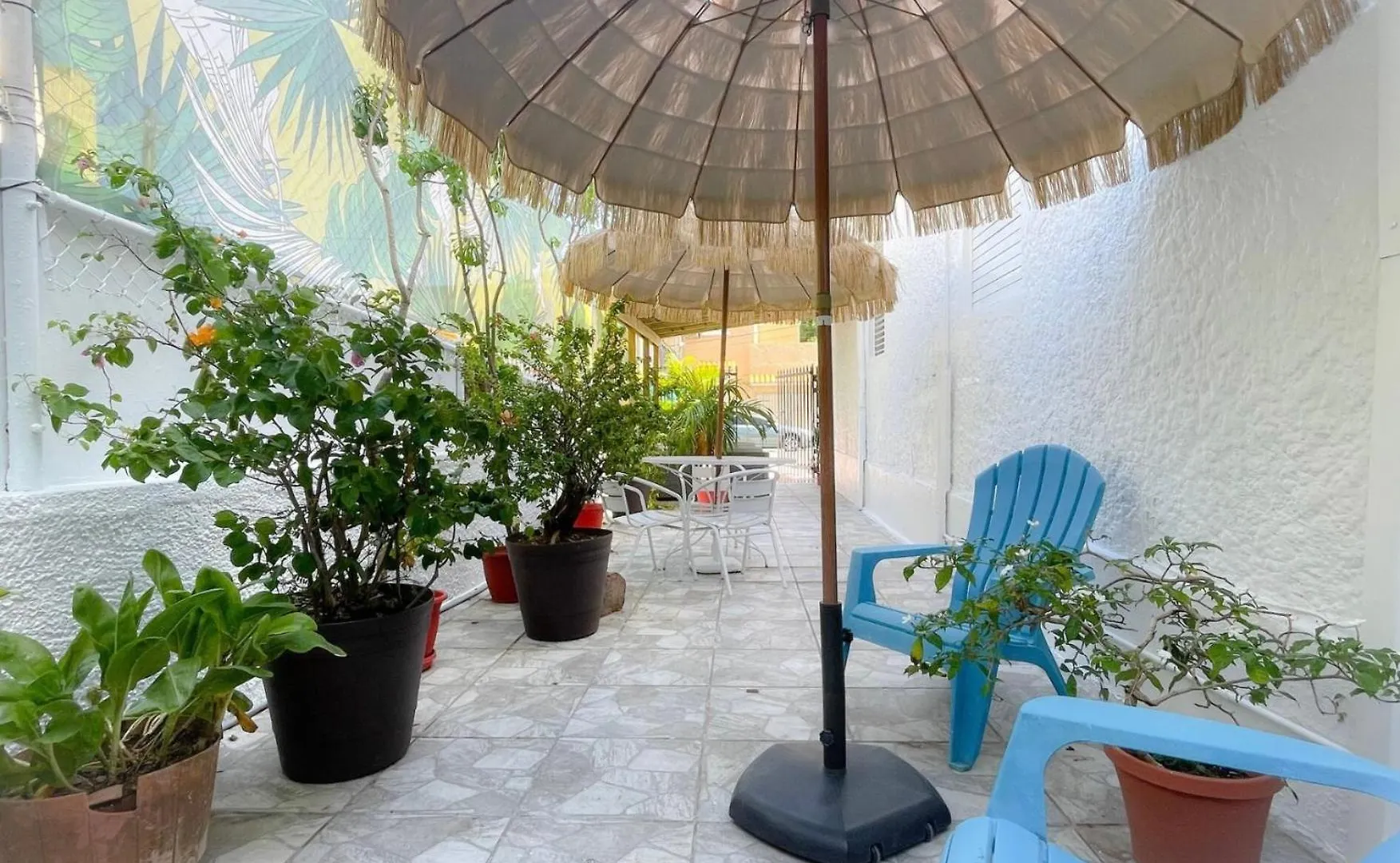 Auberge de jeunesse Oasis Inn San Juan